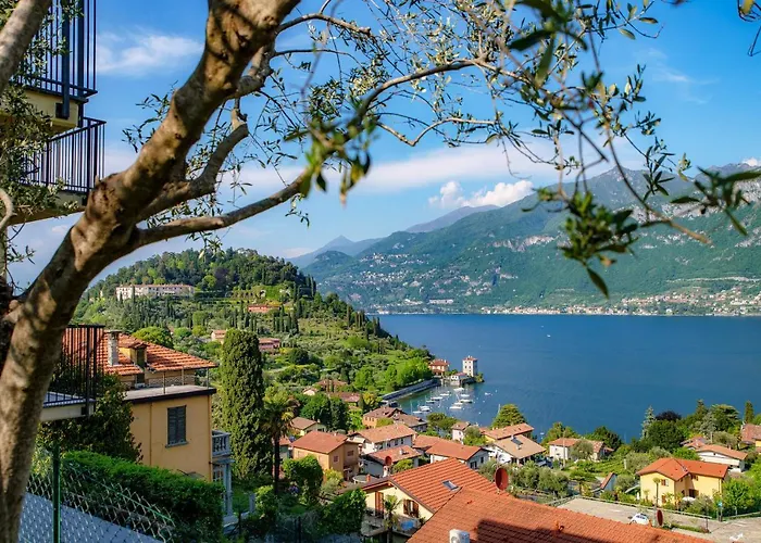 Olive Tree Lake View Apartment